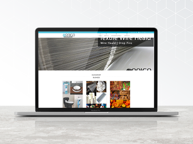 Raigo Machinery | E-commerce online store with WordPress